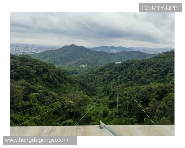 广州极限运动队的转型与革新探索：新挑战与新机遇的交汇点MBA